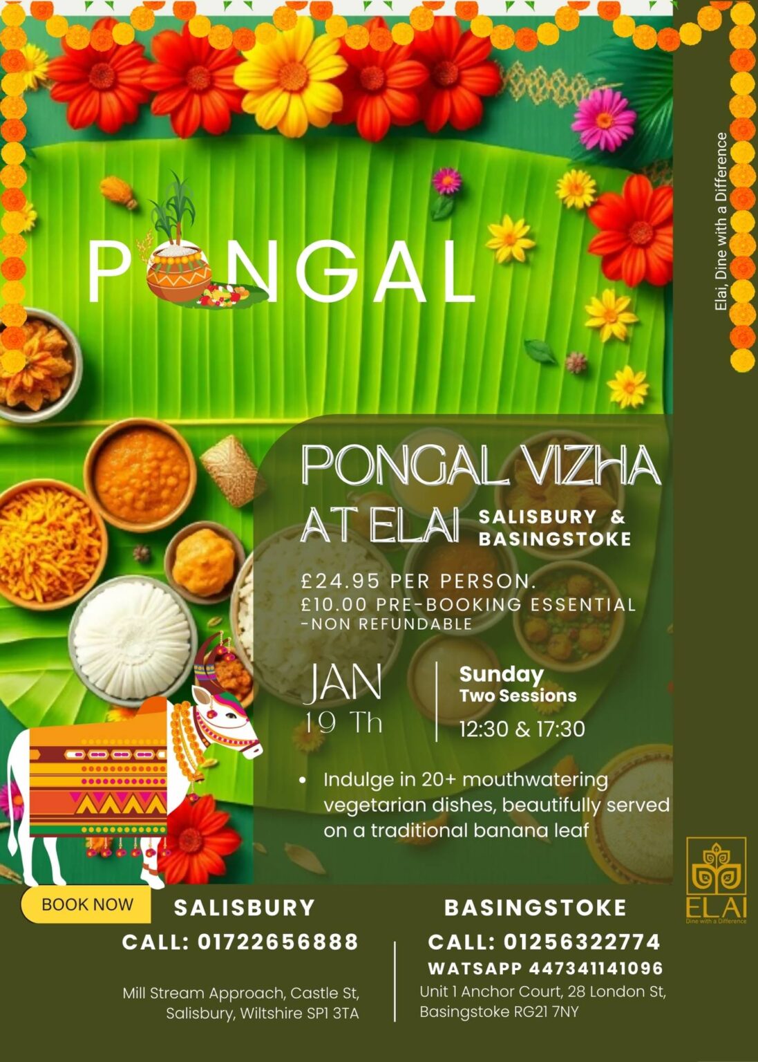 Celebrate the Spirit of Pongal at Elai Pongal Vizha